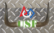 usf-first