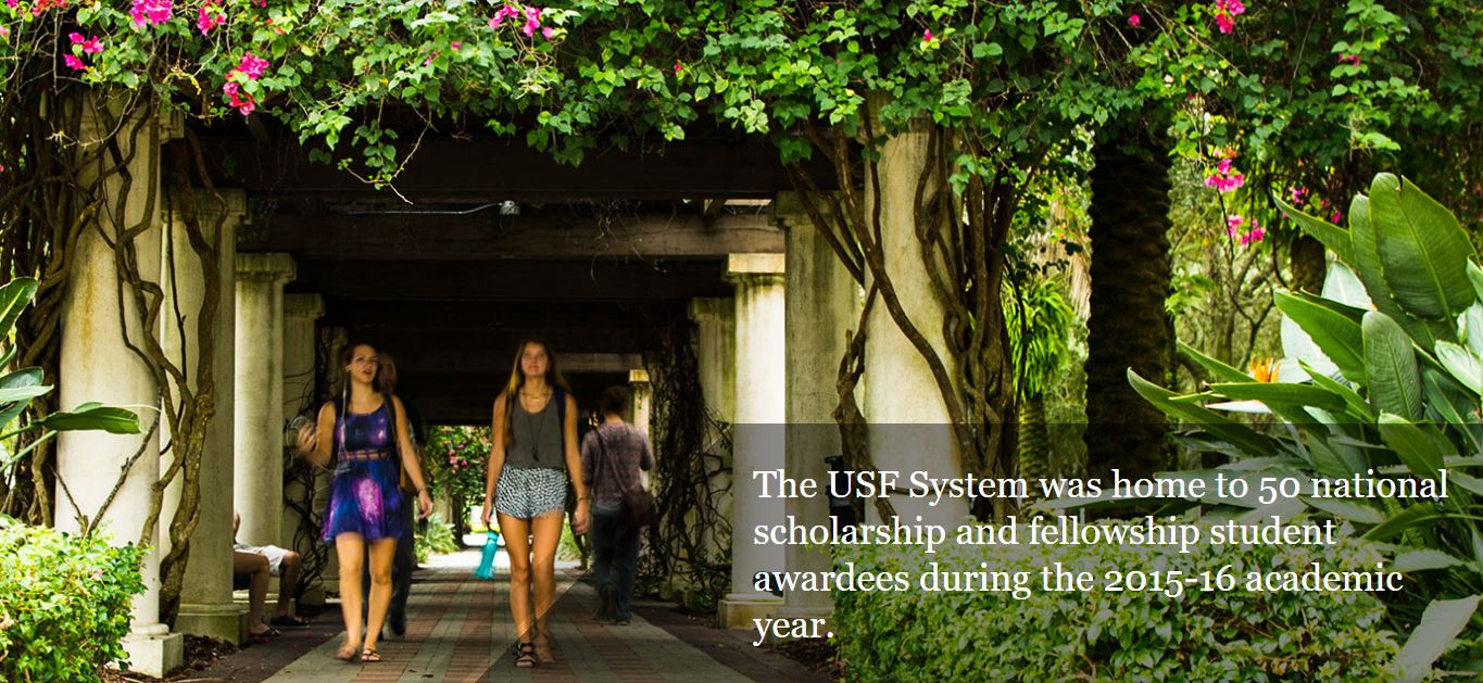 usf