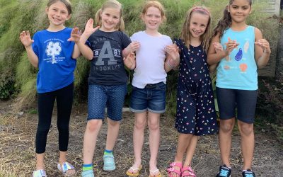 ROBOTICON Team Spotlight: Meet FLL Jr. Team Coyote Moon Amoebas