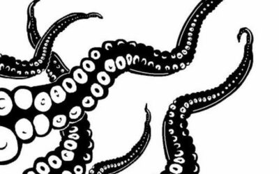 ROBOTICON 2021 Team Spotlight: Meet FLL Team 50812 the Kraken!