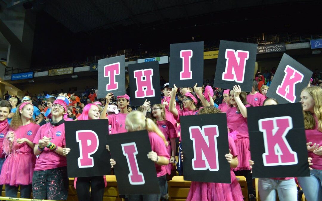 ROBOTICON 2021 Team Spotlight: Meet Team 233 The Pink Team